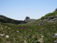 Klik za večjo sliko