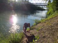 Klik za večjo sliko