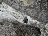 Klik za večjo sliko