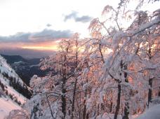 Klik za večjo sliko