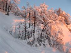 Klik za večjo sliko