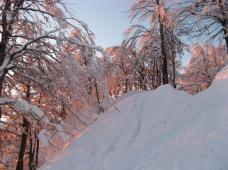 Klik za večjo sliko