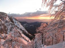 Klik za večjo sliko