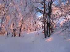 Klik za večjo sliko