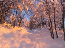 Klik za večjo sliko