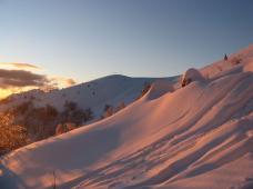 Klik za večjo sliko