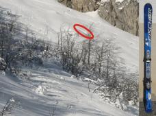 Klik za večjo sliko