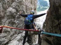 Klik za večjo sliko