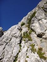 Klik za večjo sliko