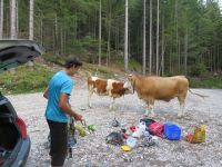 Klik za večjo sliko