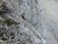 Klik za večjo sliko