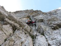 Klik za večjo sliko