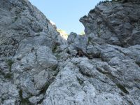 Klik za večjo sliko