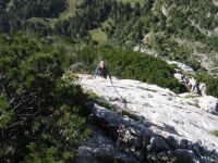 Klik za večjo sliko