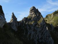 Klik za večjo sliko