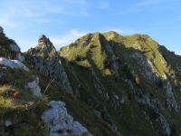 Klik za večjo sliko