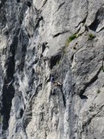 Klik za večjo sliko