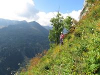 Klik za večjo sliko