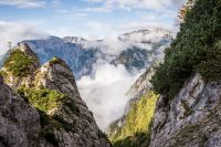 Klik za večjo sliko