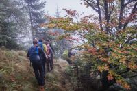 Klik za večjo sliko