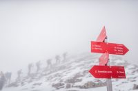 Klik za večjo sliko