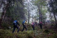 Klik za večjo sliko