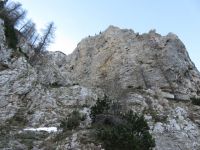 Klik za večjo sliko