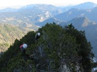 Klik za večjo sliko