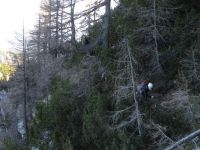 Klik za večjo sliko