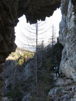 Klik za večjo sliko