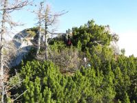 Klik za večjo sliko