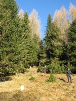 Klik za večjo sliko