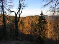 Klik za večjo sliko