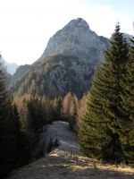 Klik za večjo sliko