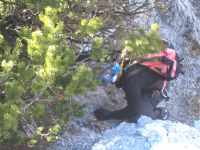 Klik za večjo sliko