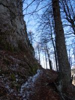 Klik za večjo sliko