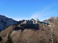 Klik za večjo sliko