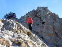 Klik za večjo sliko