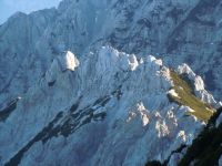 Klik za večjo sliko