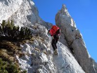 Klik za večjo sliko