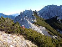 Klik za večjo sliko