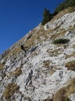 Klik za večjo sliko