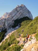 Klik za večjo sliko