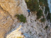 Klik za večjo sliko