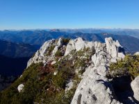 Klik za večjo sliko