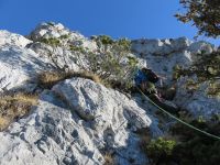 Klik za večjo sliko