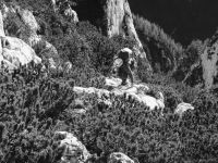 Klik za večjo sliko