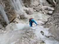 Klik za večjo sliko