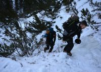 Klik za večjo sliko