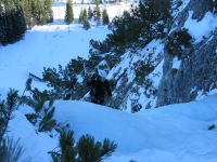 Klik za večjo sliko